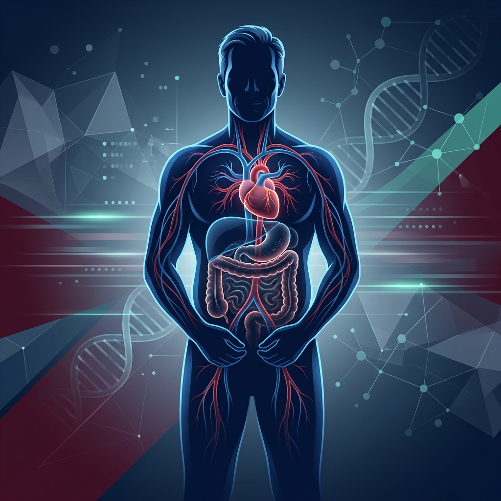 GLP-1 for Men Over 50: Testosterone, Visceral Fat & Heart Risk